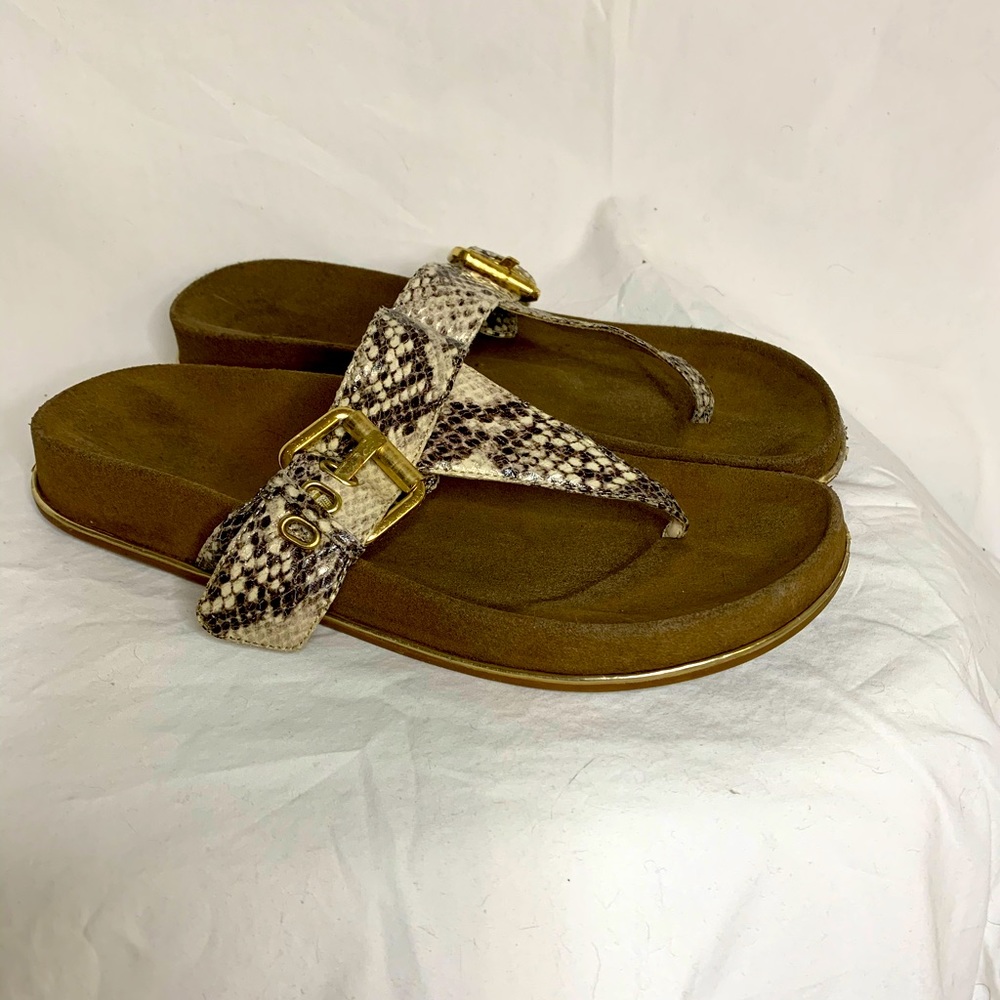 Faux Snakeprint Sandals (Birkenstock style)